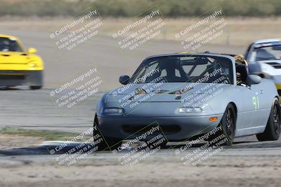 media/Oct-21-2023-Speed Ventures (Sat) [[ddf75163c5]]/Green/Grapvine/